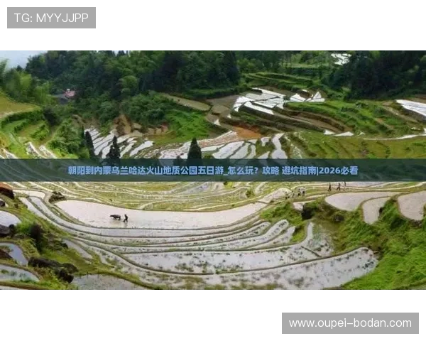 玩球水位怎么看避坑指南看懂彩票数字高频玩法 玩球水位怎么看避坑指南看懂彩票数字高频玩法